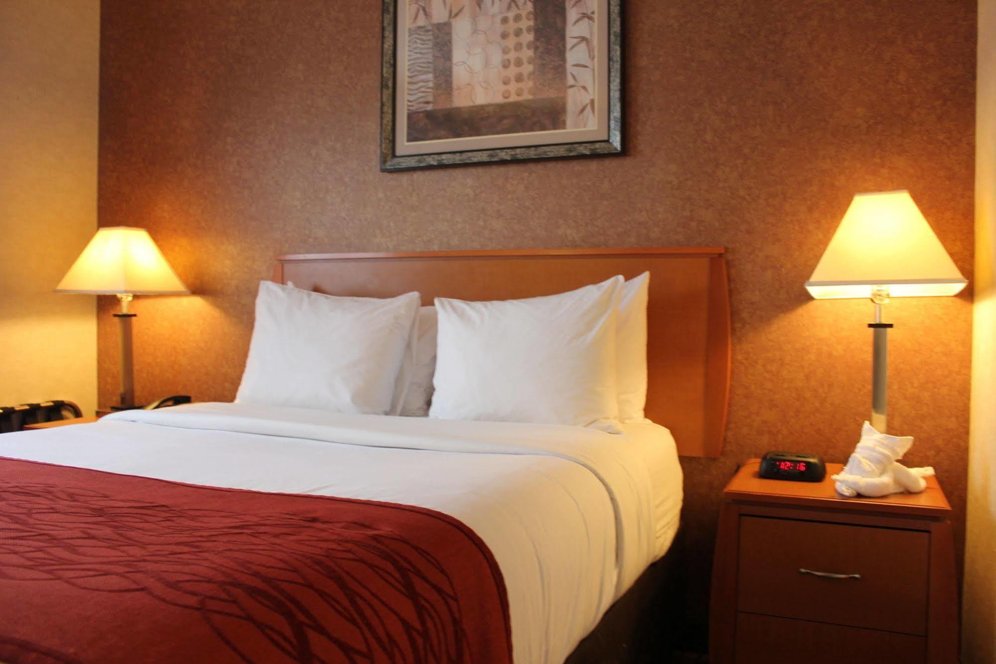 Bellerose Inn Εξωτερικό φωτογραφία